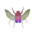 Iridescent Beetle Kiss-Cut Sticker — Colorful Bug Laptop Decal